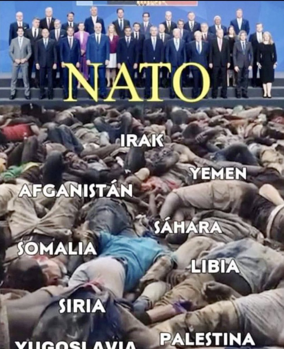 #NATO North Atlantic Terrorist Organization #Suomi