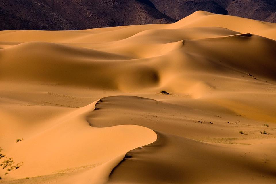 AymeOuedraogo's tweet photo. Les magnifiques dunes de sable d'#Oursi, dans l'Oudalan, s’étendent à perte de vue. Tout proche, la mare ornithologique d’Oursi et les nécropoles de Gandéfabou. 🇧🇫
#Afrique #Sahel #Burkina https://t.co/tfLSgFsdJM