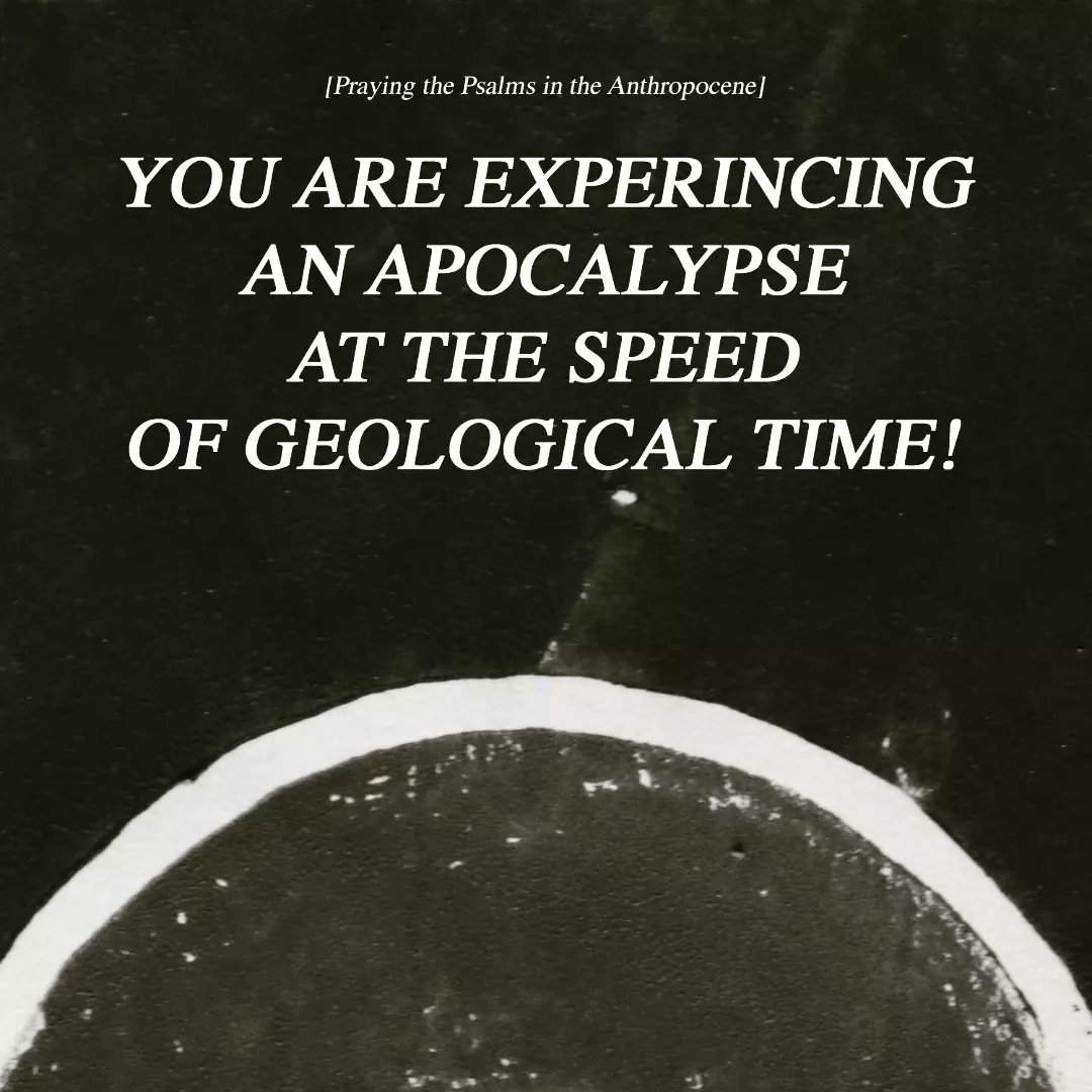 open.substack.com/pub/davidbenja…