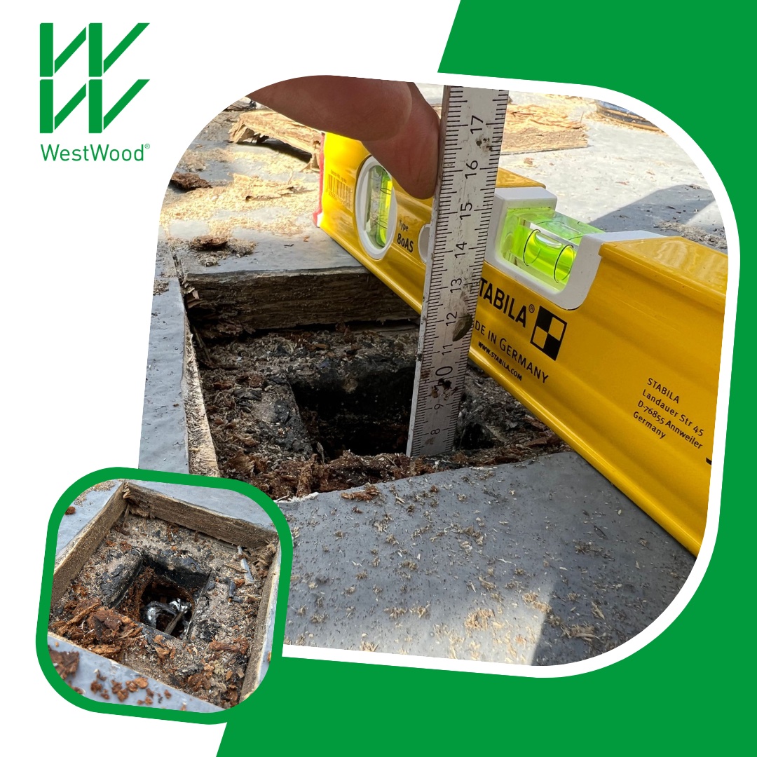 westwoodliquid's tweet image. How low can you go? 😳
During a core sample session on one of our most recent balcony surveys, we found not 1 or 2 roof build ups - but THREE!
Time to start again and put down a long lasting system ✅
#balcony #coresample #waterproofing #roofing #WestWood #WestWoodUK #WWUk