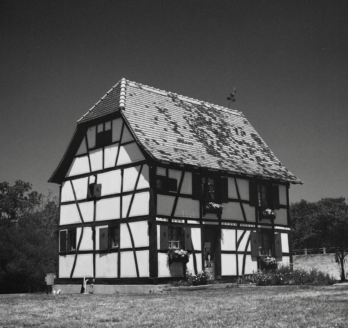 TriXFilm's tweet photo. Steinbach Haus ￼• Castroville, Texas, USA

Rolleiflex 2.8 D • Kodak Tri-X 400 • 2023

#FilmPhotography #Kodak #TriX #Film #Camera #120film #MediumFormat #Rolleiflex #BWfilm #Photography #TX #Castroville #Texas #Monochrome #Steinbach #Haus #Visitor #Centre #August_5_2023 https://t.co/cFyEN9aPMO