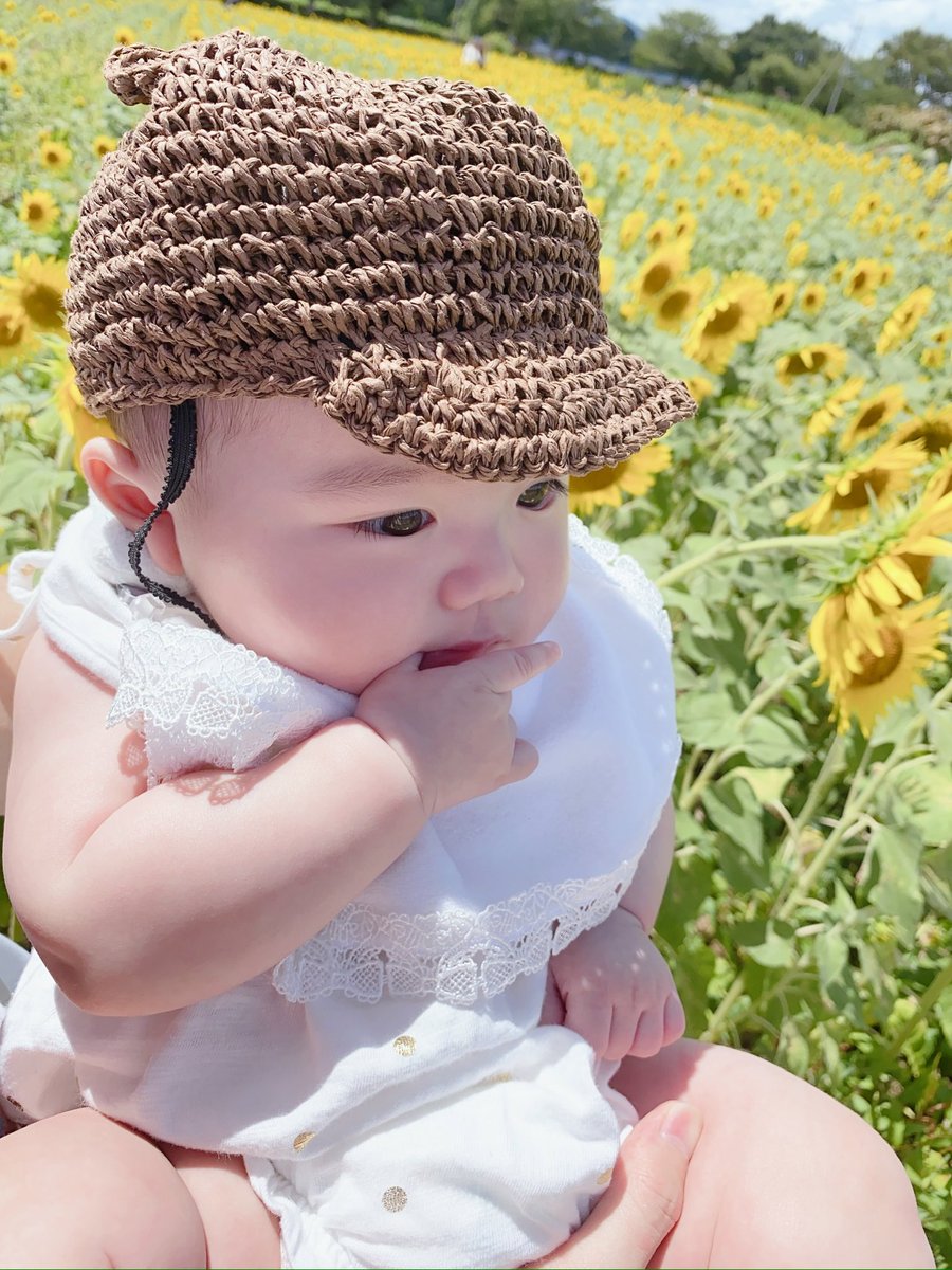 bakbak3536's tweet photo. ひまわり https://t.co/N0sxOFNNps