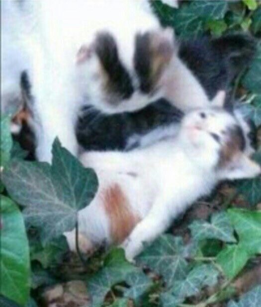 waoug…. its my birthday…