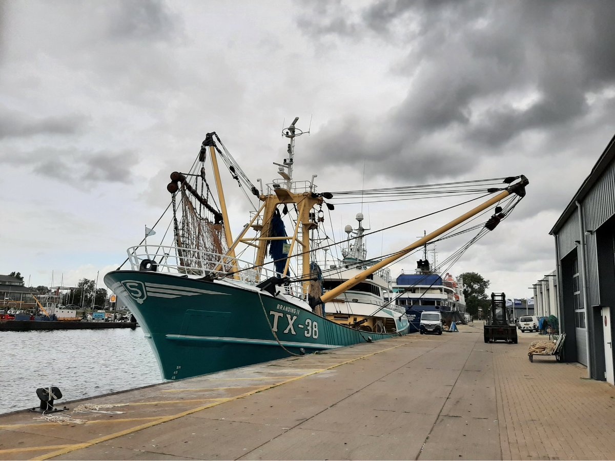 Er wordt druk geklust op de TX38 aan de kaai in #Vlissingen.