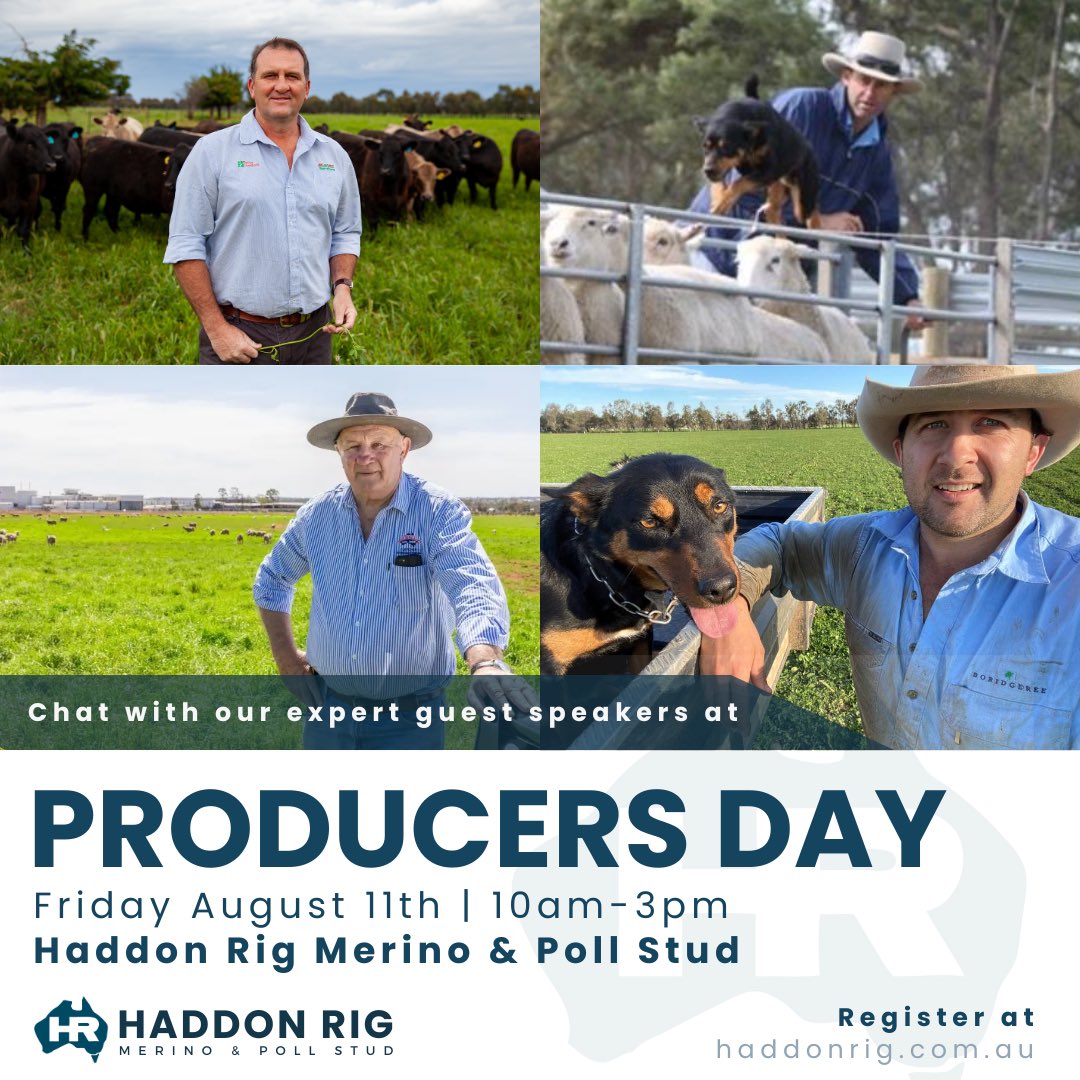 haddonrigstud tweet media