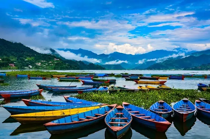 Pokhara tweet media