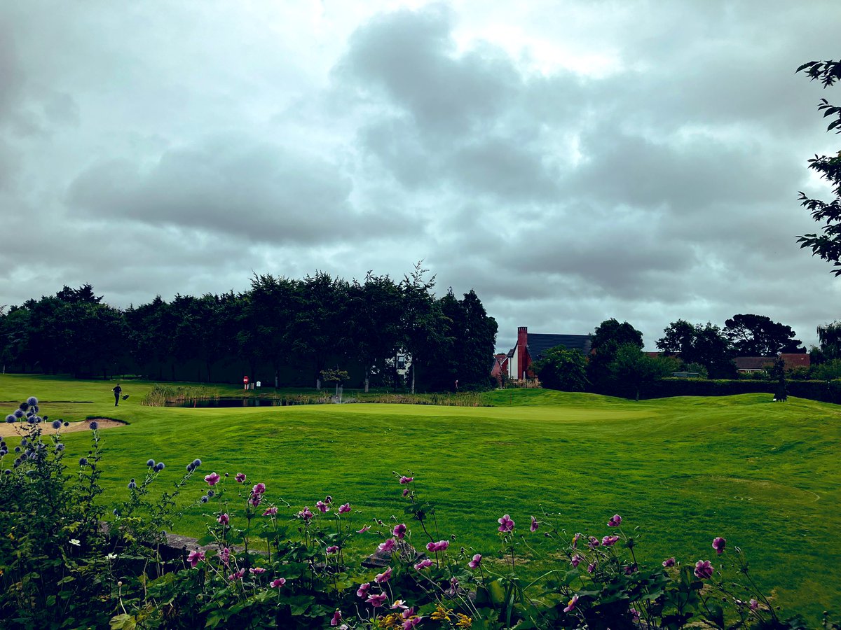 Matt Peace tweet media