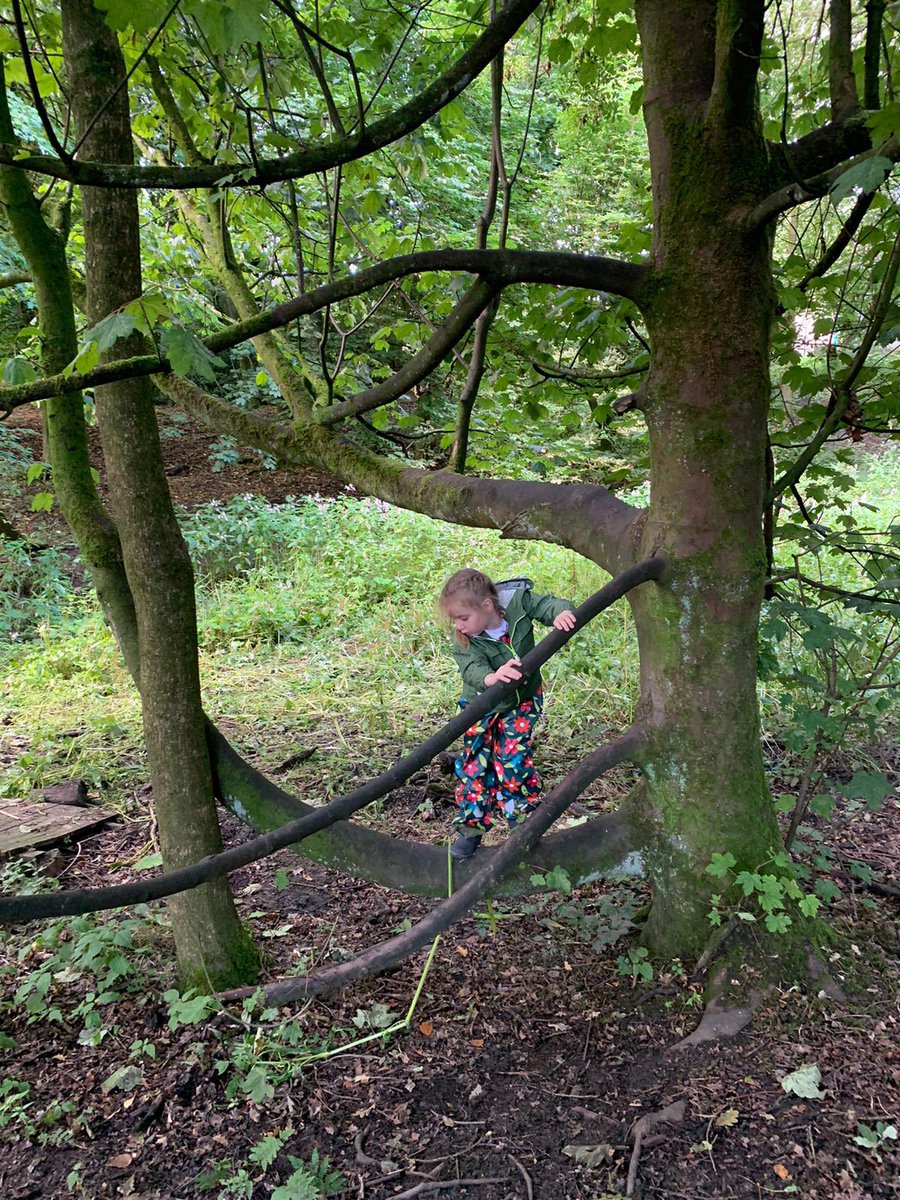 The Therapeutic Forest CIC tweet media