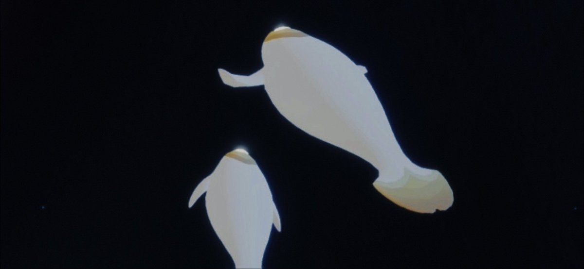 uka (@uka_____sky) on Twitter photo 