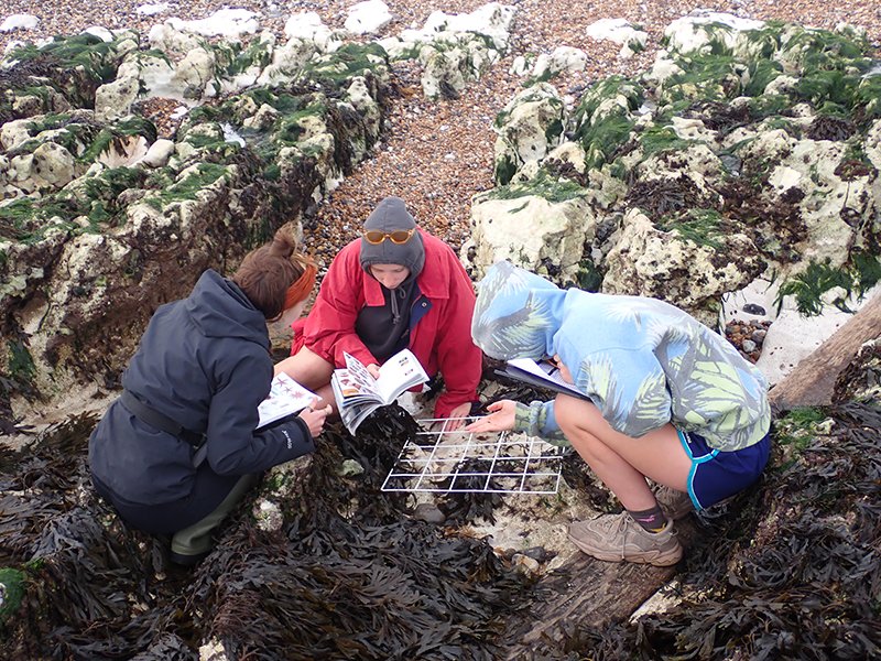 Find out about the fantastic ocean connections the @WildCoastSussex team created with the participants of their recent 'Wild Coast Weekend' sussexwildlifetrust.org.uk/news/wild-coas… @mcsuk @ella_daish @StrandlinersCIC @sussex_ifca Supported by @HeritageFundL_S