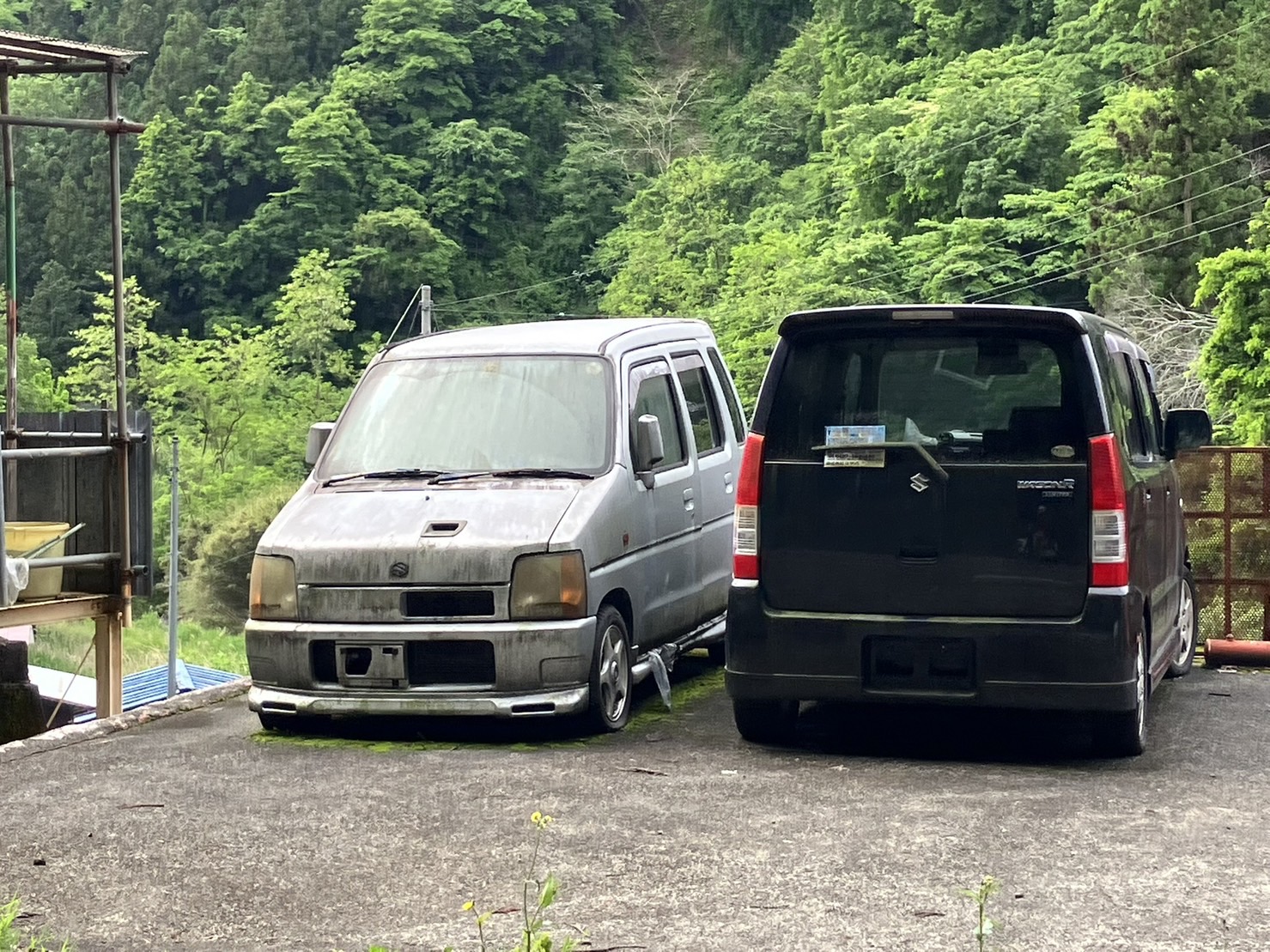 SEIの草ヒロ垢 on X: 