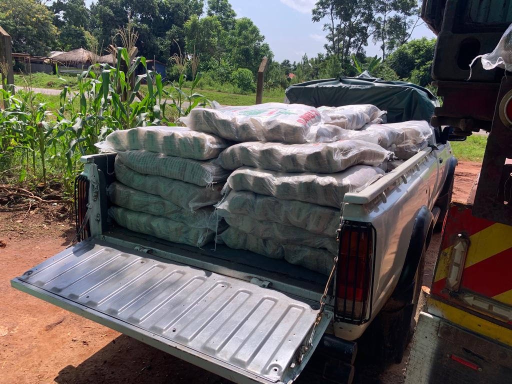 agrosupplyug's tweet photo. The new season is here, we are getting seeds to farmers quickly so they can plant on time.
Visit our store at Kingsway plaza, Container Village Shop No G-13, Kampalaor contact us 0800100046(Toll-free) 4 more information.
Dont miss out on a successful season
#Farming4theFuture https://t.co/cD9HzZOwz2