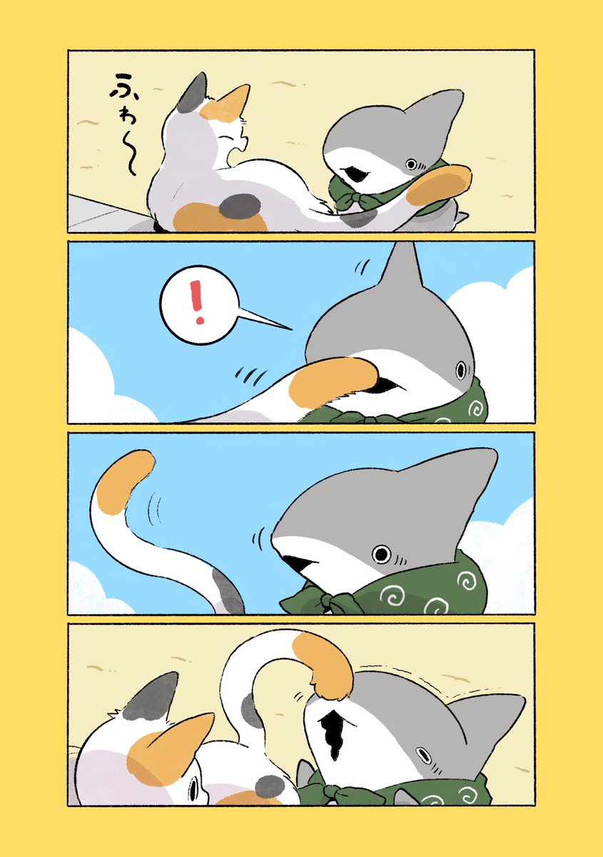 子ザメと子ねこ #世界猫の日