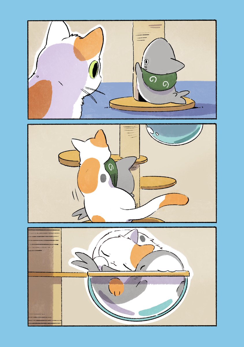 子ザメと子ねこ #世界猫の日