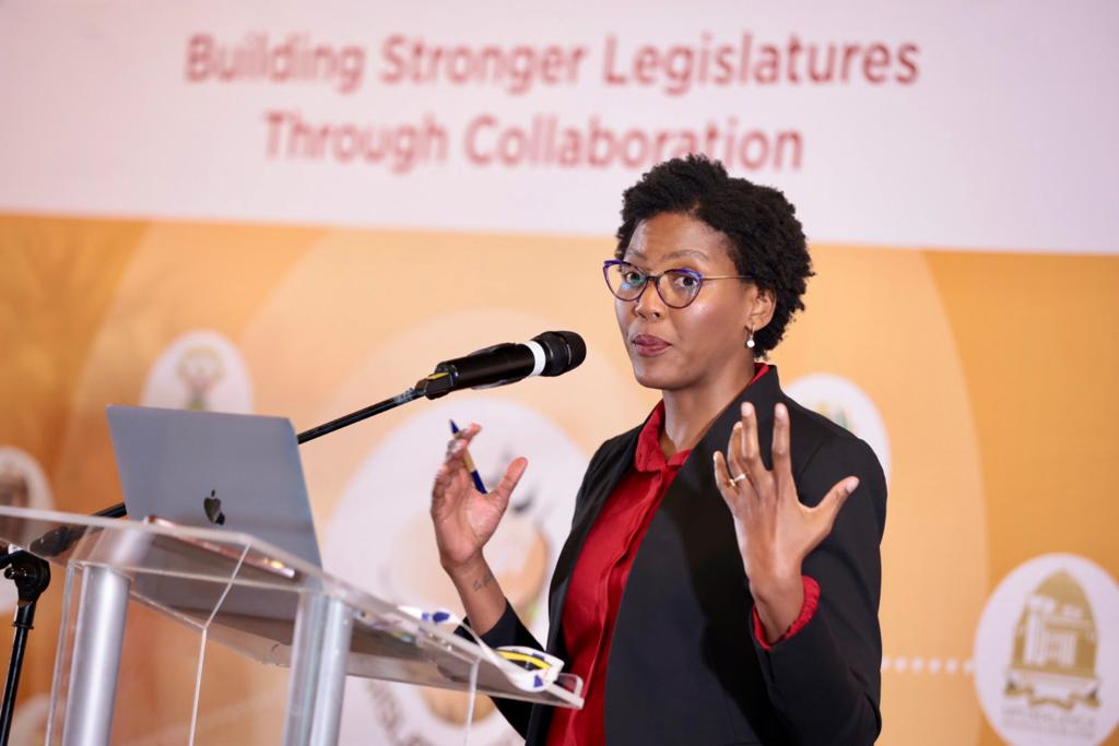 ParliamentofRSA's tweet photo. Dr Sithembile Mbete has highlighted that public participation is not an add on to the work of the #LegislativeSector and it means budgeting should reflect the core nature of public participation in the work of the legislature #DevelopmentSeminar https://t.co/lpb38wvQDN