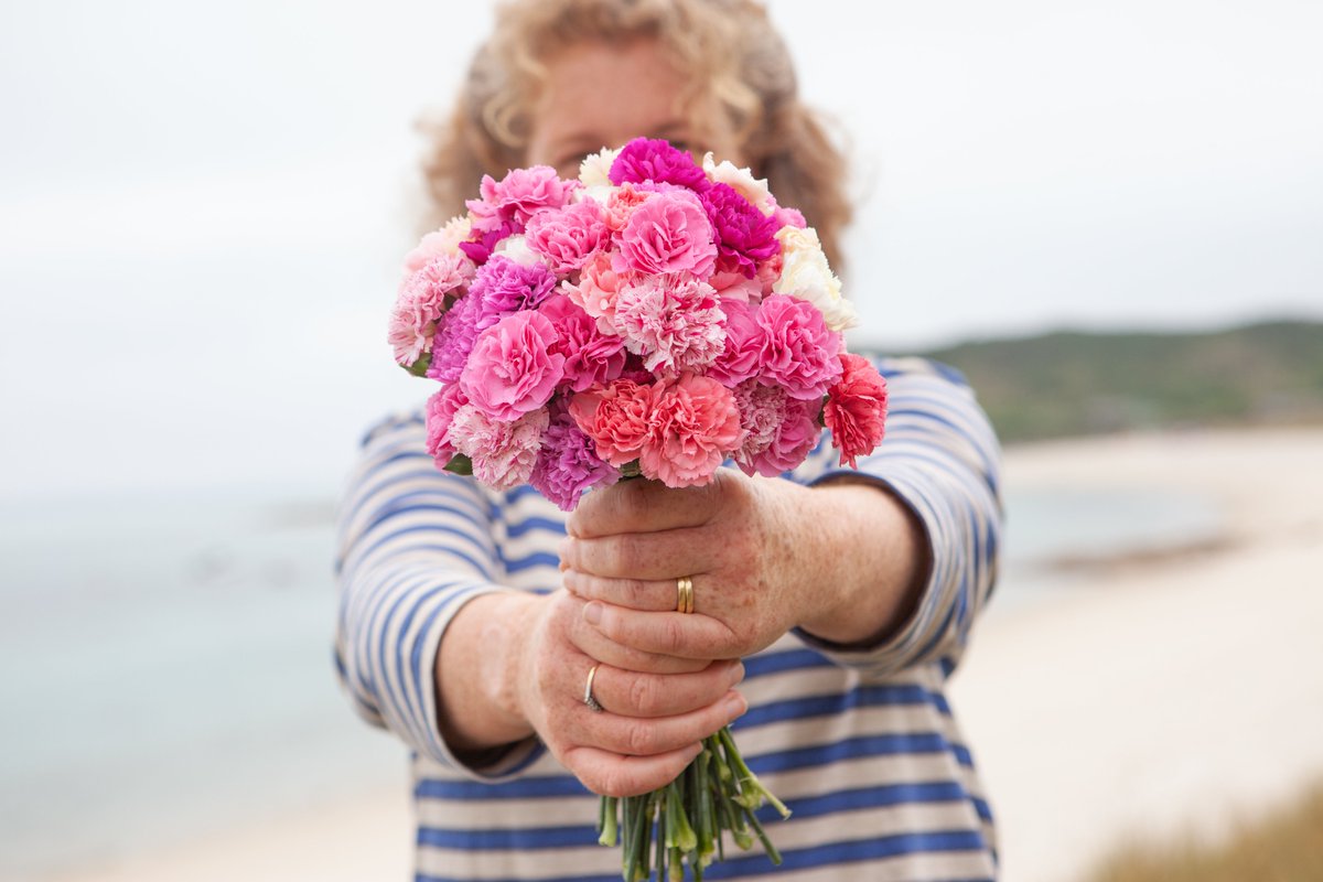 Life on a small island...
scillyflowers.co.uk/st-martins-isl…

#stmartinsscilly #scilly #islandlife #flowersmakemehappy