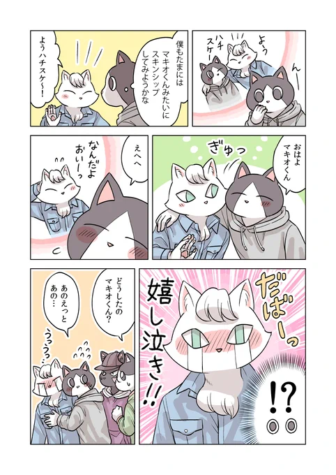 🐱❤️🐱 #ねこにんげん