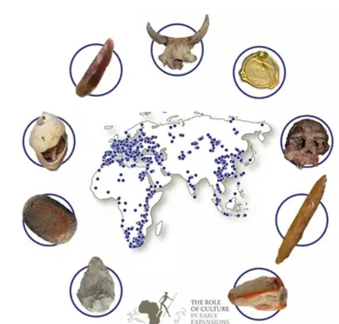 Paleorama tweet media