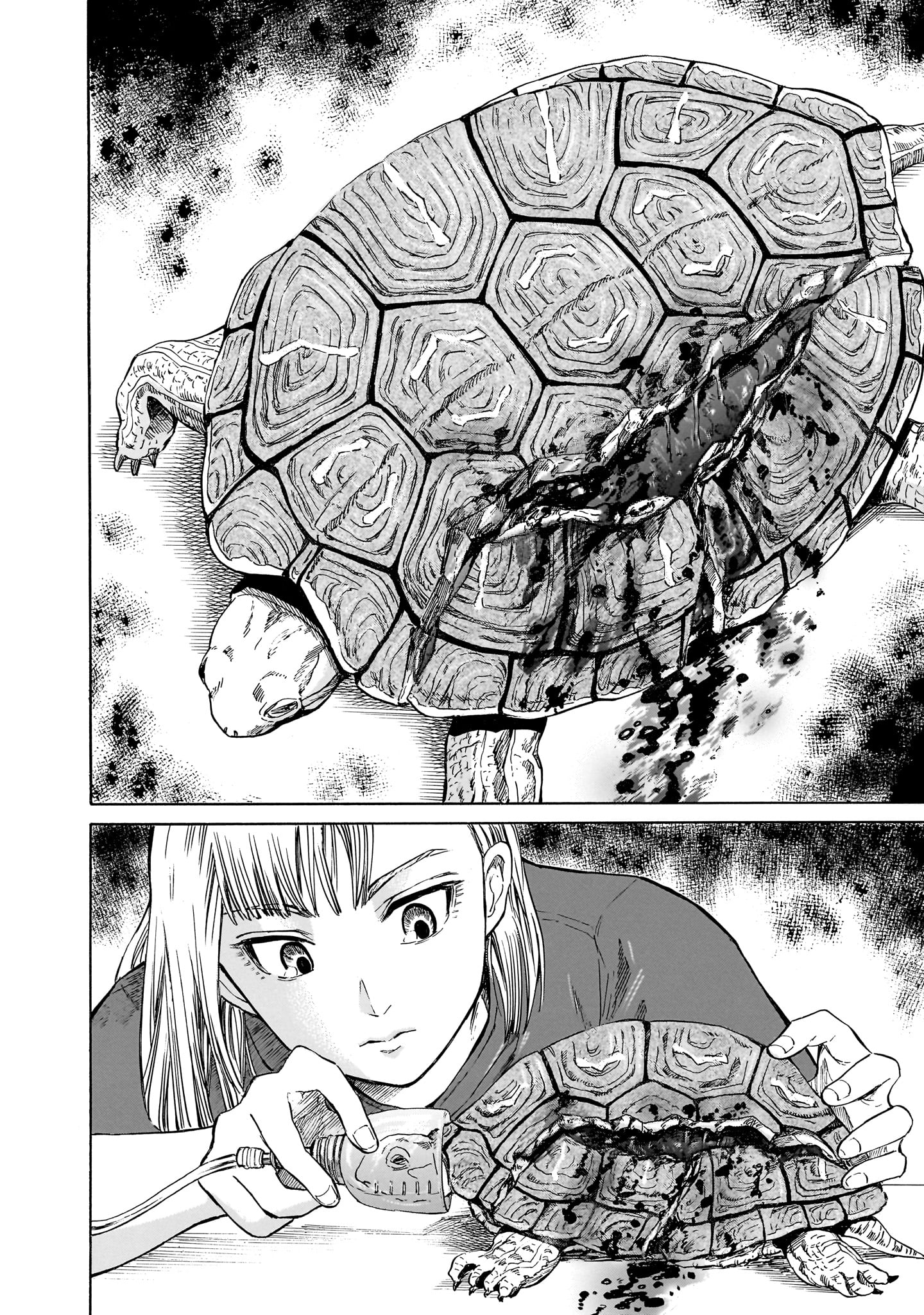 動物のお医者さん1巻〜3巻・5巻・7巻〜10巻・12巻(4巻・6巻・11巻抜け) B1iatPKTU+S._SY200_.png