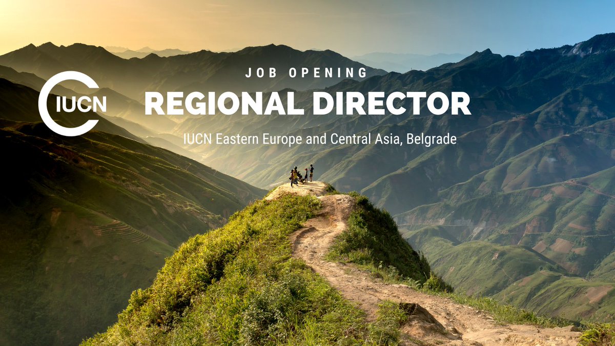 #jobalert! 📢

🔔We are looking for a new #director to head our teams and programmes in #easterneurope and #centralasia.

If you are accomplished #seniorleader with strong  #experience in #conservationofnature apply 🔗 bit.ly/44NCSK0

📅 Deadline: 29 August 2023