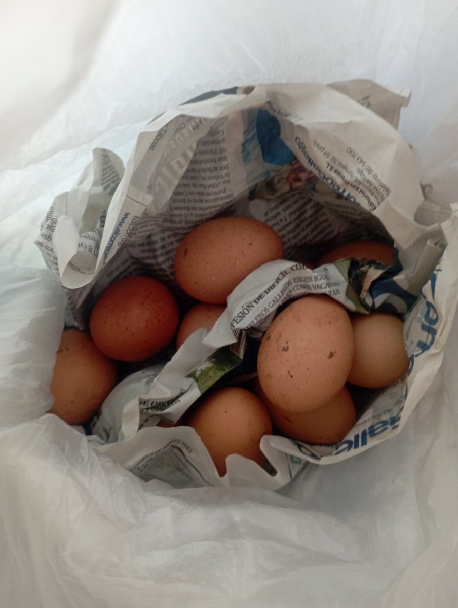 Lapanteraazul1's tweet photo. 😱😍 Me acaban de regalar 🖤huevos,
🖤pimientos 🖤tomates y 🖤judías #decasa
Y ahora estoy aquí pensando que en vez de mandar tuppers casi prefiero mandar ubicación. https://t.co/6bHZMi5l7j