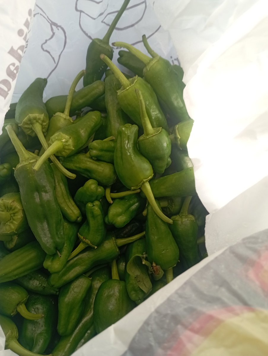 Lapanteraazul1's tweet photo. 😱😍 Me acaban de regalar 🖤huevos,
🖤pimientos 🖤tomates y 🖤judías #decasa
Y ahora estoy aquí pensando que en vez de mandar tuppers casi prefiero mandar ubicación. https://t.co/6bHZMi5l7j