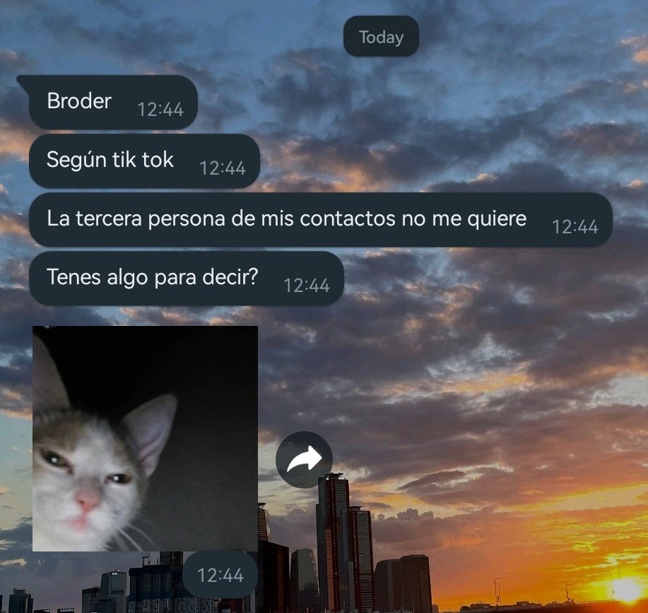 vancastle_'s tweet photo. nadie:
tu kp menos dramático: https://t.co/yXHjjhsWMM