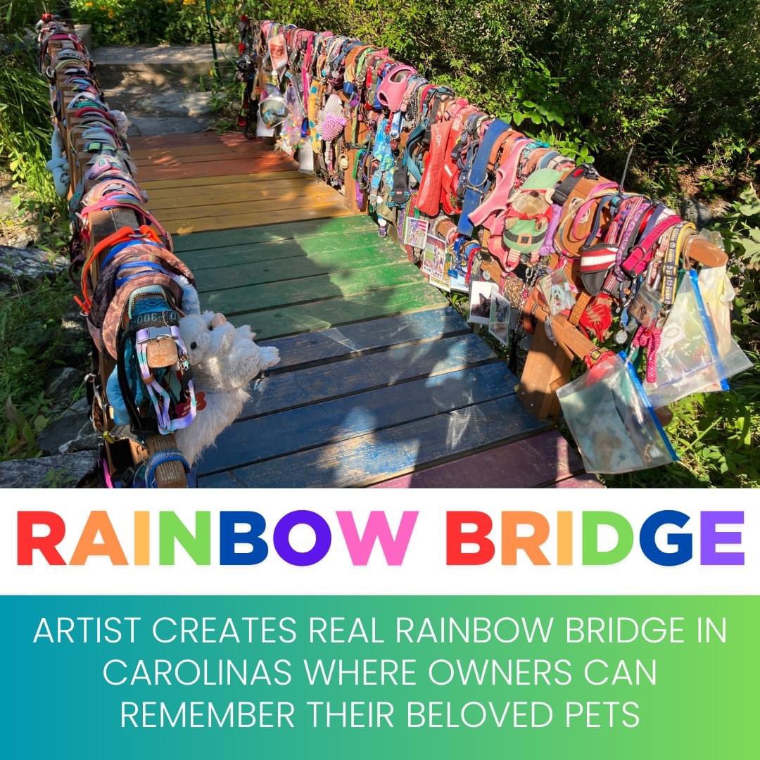 DogCoachFrancis's tweet photo. With a heart full of memories, our beloved dogs cross the rainbow bridge, leaving behind pawprints of love that will forever grace our souls.🌈🐾 #RainbowBridge https://t.co/XbELHm592V