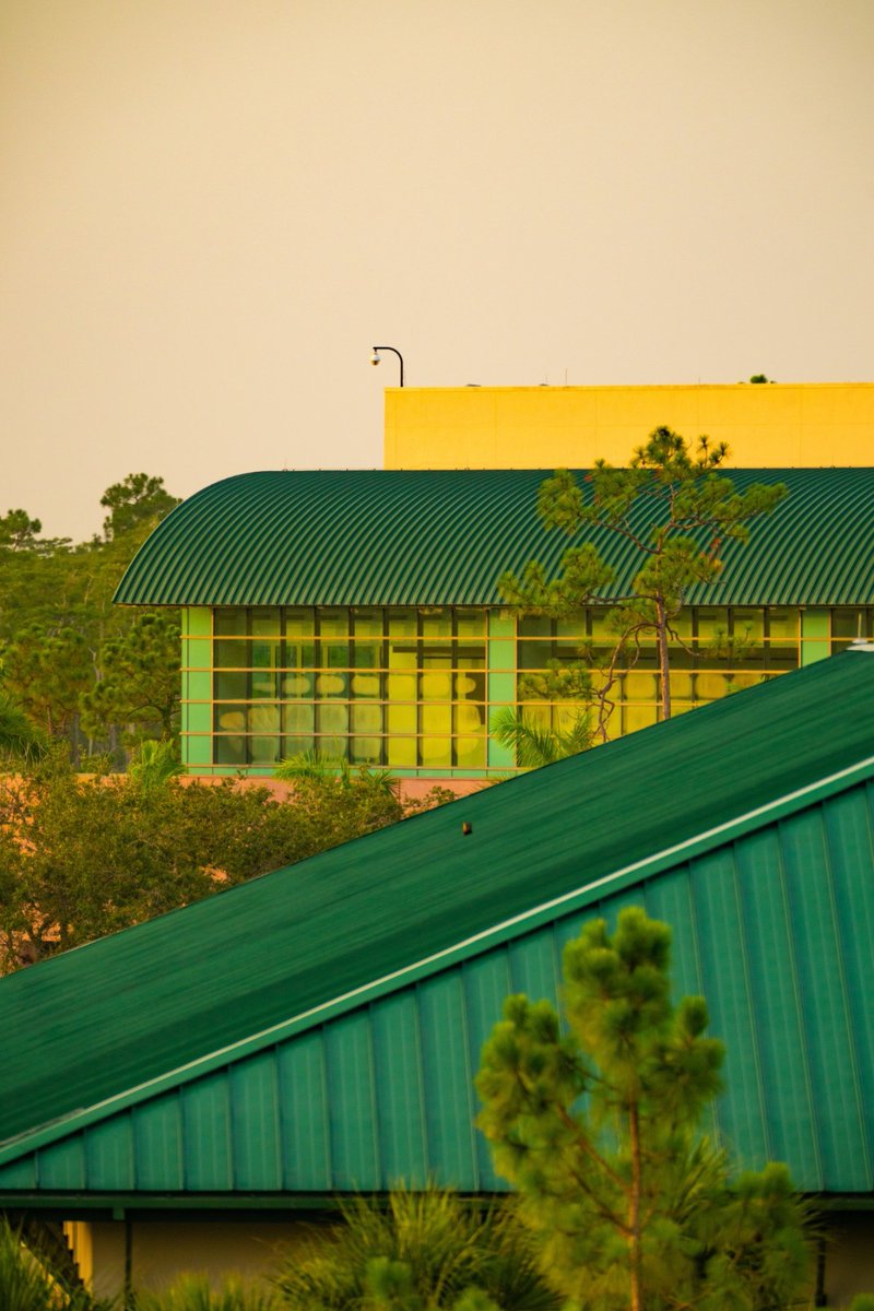 fgcu's tweet image. The FGCU Library is shining at sunrise! ☀️🤩 #FGCU #FGCULibrary #Sunrise #GoldenHour