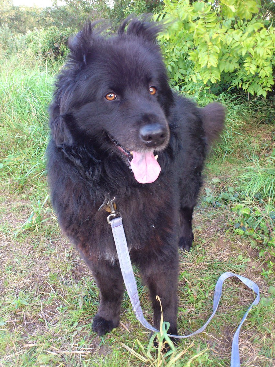 You can be your own boss, set your own schedule, and earn money doing something you love - Caring for pets!
rover.com/ambas-refer-a-…