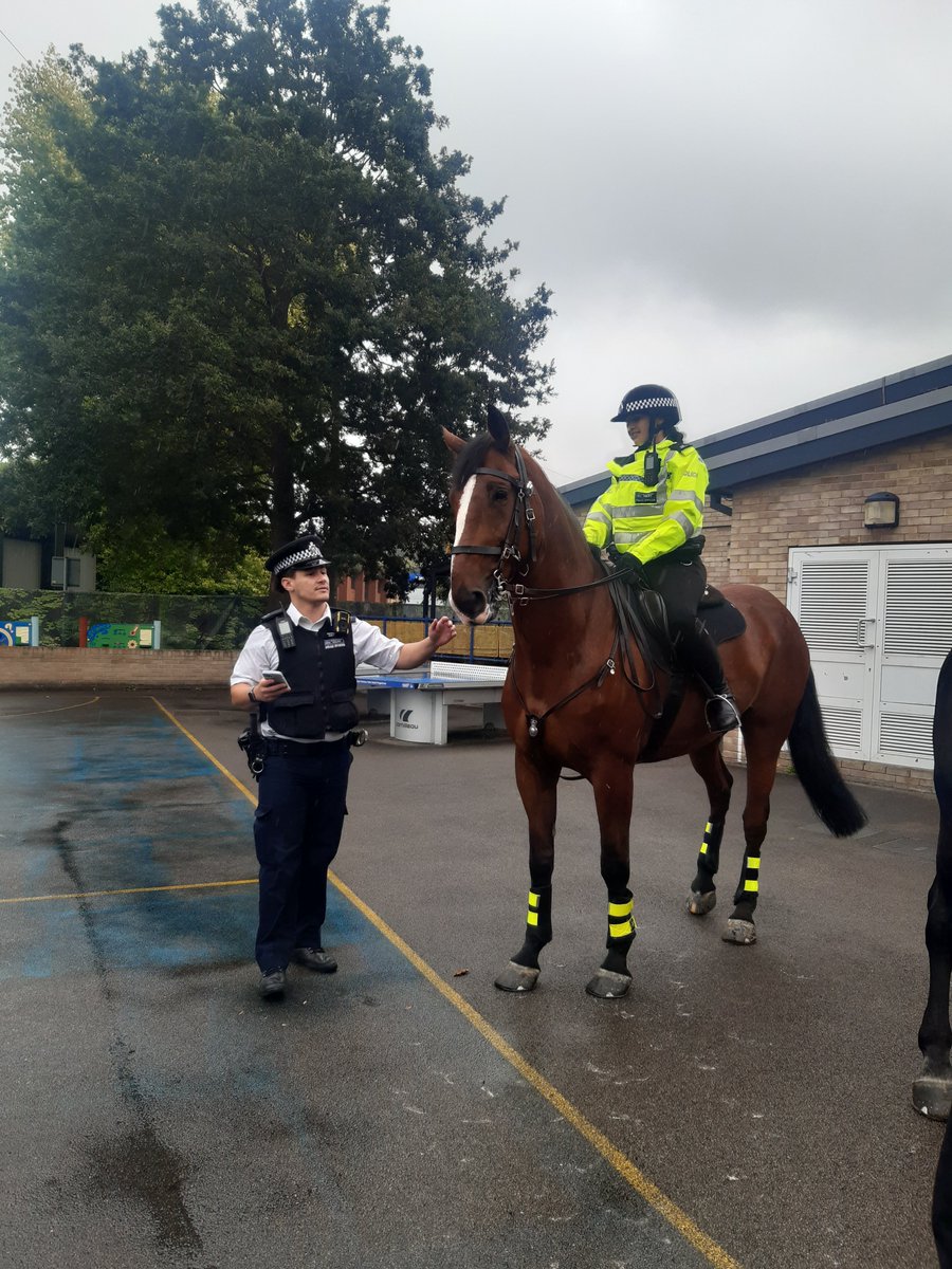 St Mary Cray tweet media