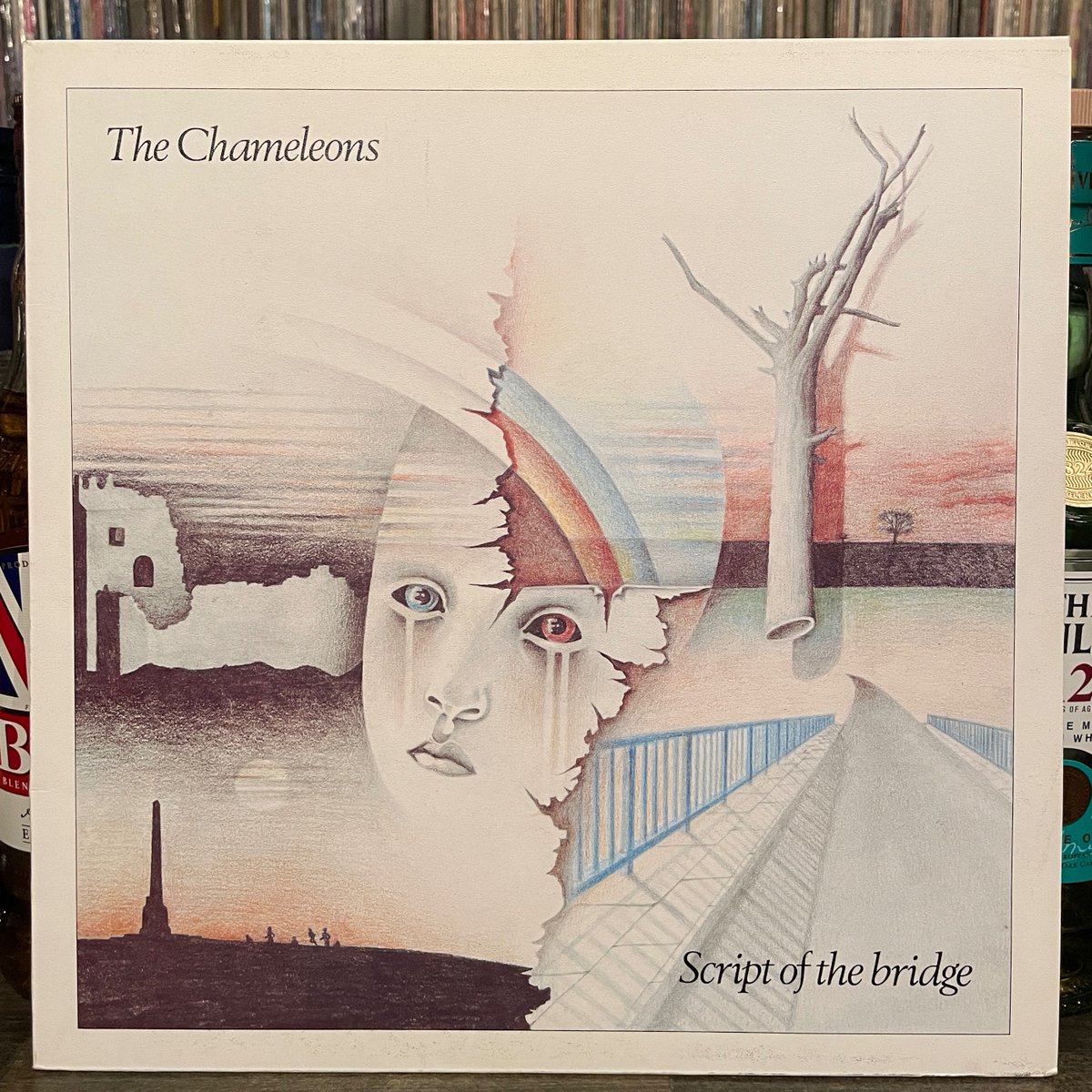 MILEHIGHCLUB202's tweet photo. ほなLPいこか
THE CHAMELEONS / SCRIPT OF THE BRIDGE [08Aug1983, Statik Records --- STAT LP 17]
#onThisDay #theChameleons #ScriptOfTheBridge #hereToday #vinylbar #musicbar #レコードバー #mhc08082023
https://t.co/NRRR6WQz8S https://t.co/sm8XU42FaU