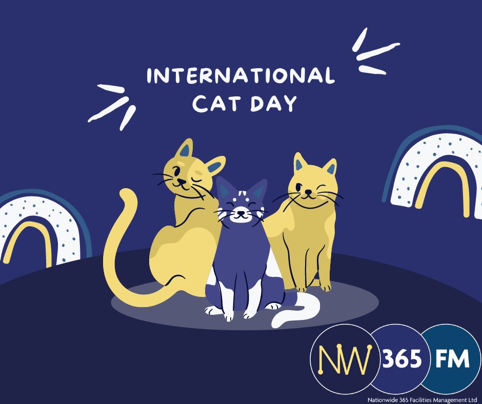 NW365FM's tweet photo. Happy International Cat Day! Purrfect day to give your feline friends some extra love and treats 🐾😻

Even our feline friends need a cosy home! Celebrate International Cat Day with us at NW365, your go-to facilities management company.
#InternationalCatDay #FacilitiesManagement https://t.co/59hlzh94PW