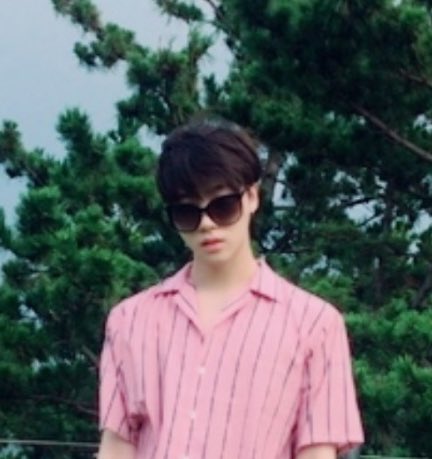 김진환의 이것저것봇 (@somuchginani) on Twitter photo 