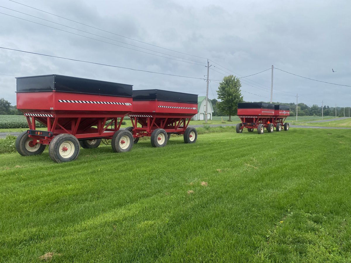 Dean Patterson v1.0.0🇨🇦 tweet media