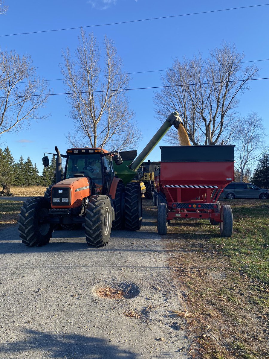 Dean Patterson v1.0.0🇨🇦 tweet media