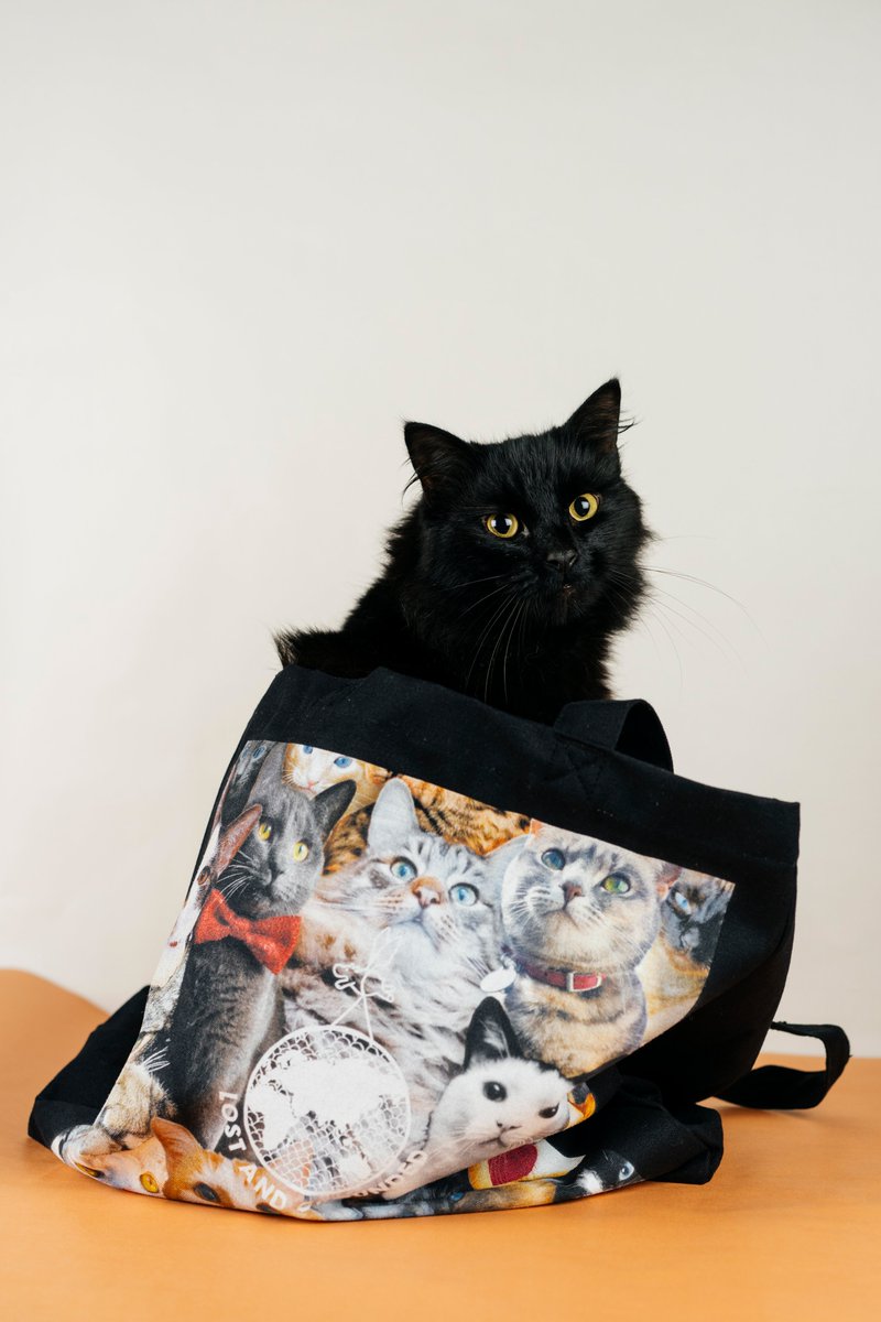 Lost and Grounded Brewers tweet media