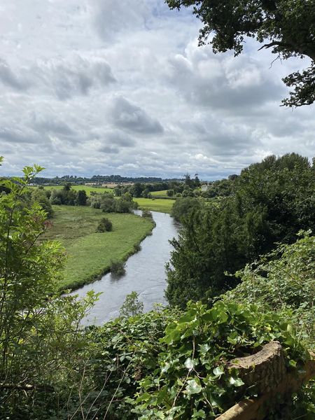 Bank holiday weekend well spent in the mixed woodlands and meadows of <a href="/coilltenews/">Coillte</a> and <a href="/opwireland/">Office of Public Works</a> in the Boyne Valley. <a href="/DiscoverBoyneV/">Discover BoyneValley</a>
