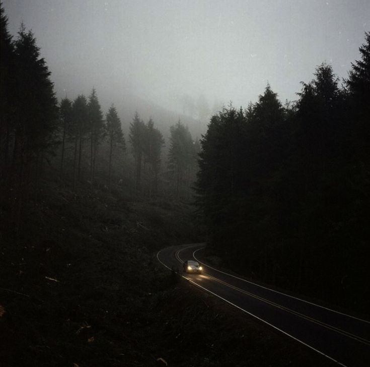 thespookygirll's tweet photo. foggy mornings https://t.co/pNaVgcboqu