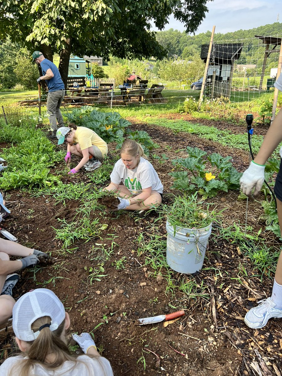 GDLC Youth & Family tweet media