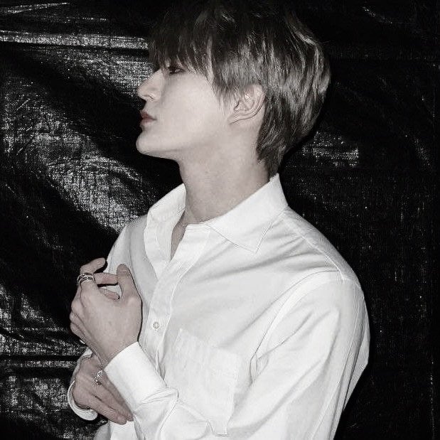 dino (busy) tweet media