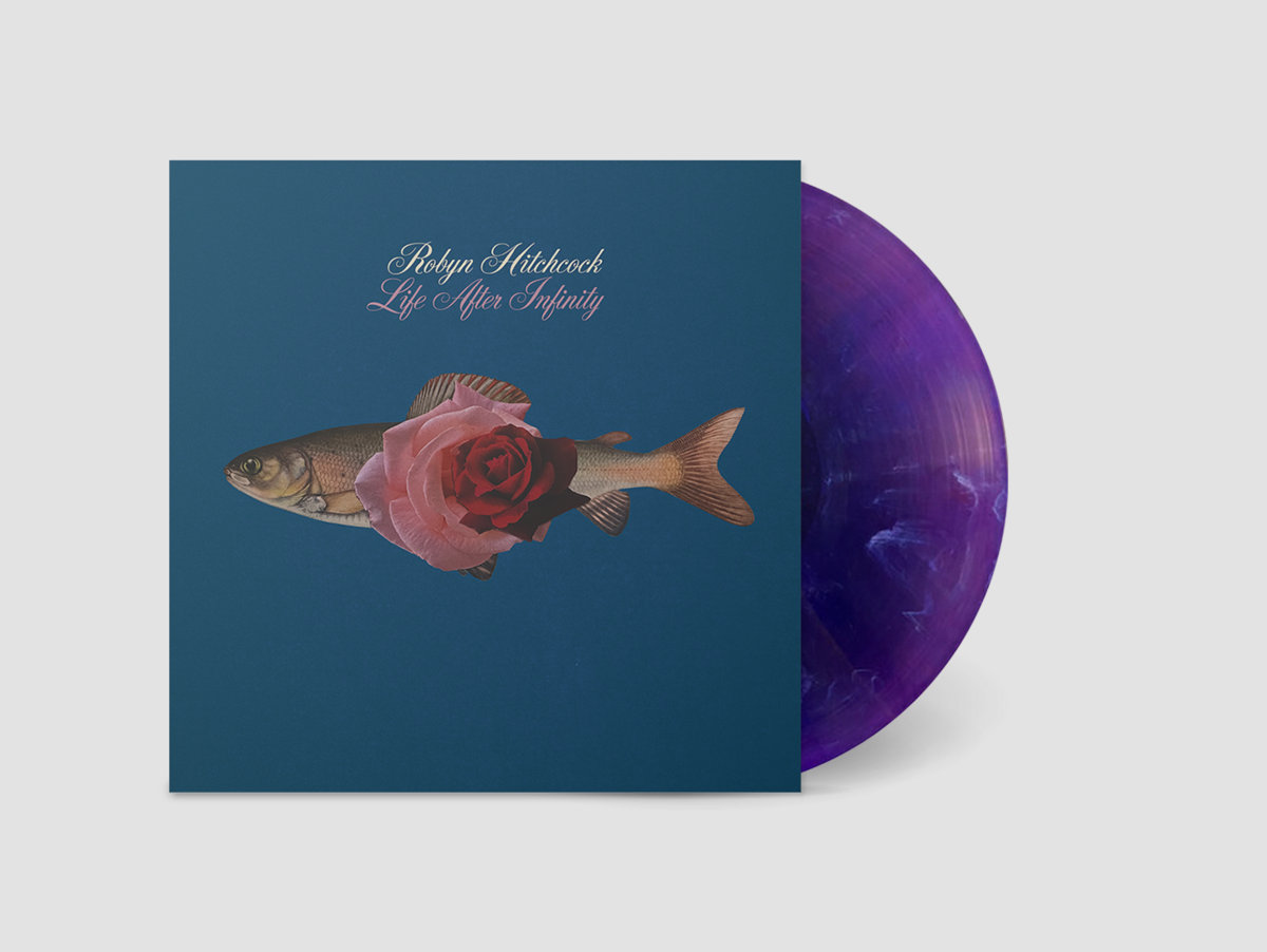 The RH online store has a small number of LIFE AFTER INFINITY, Robyn's first instrumental album, available now on vinyl and cd for shipping within the US.

Here's the link if you'd like one:

tinyghostrecords.shop

Love on ya, 

RH HQ