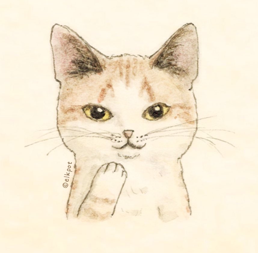 animal focus no humans cat looking at viewer simple background animal traditional media  illustration images