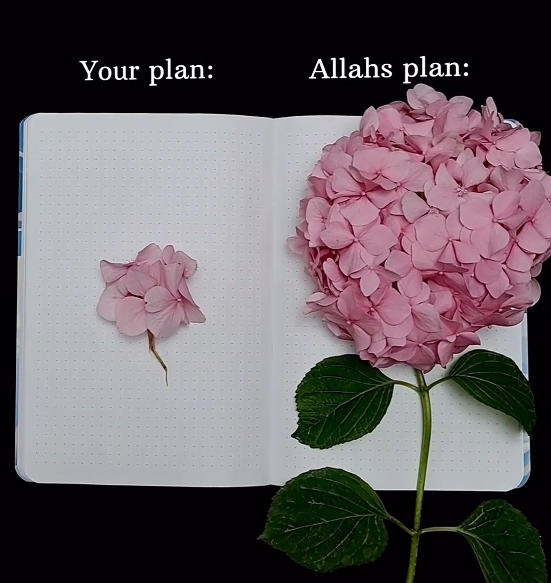 Be patient, Allah must have something better for you, Allah has a plan for you.