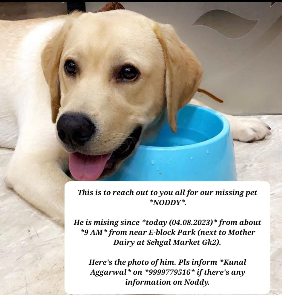 kaalicharan's tweet photo. #Delhi Please share with your contacts 🙏

Missing dogs 🐕
•German shepherd raja garden
•Noddy lab from gk 2
•Pitbull from Sarita vihar

Found dog 🐶
*Puppy in panchsheel enclave 

https://t.co/xR8wrRoSJq

RT! https://t.co/NPLJ4HSBni