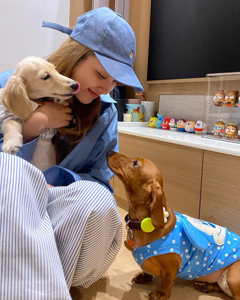 Seluu21's tweet photo. Freen con perritos , te amo mi random
#25thShiningFreenDay #srchafreen #Happy25XFreenLATAM https://t.co/WFVwWXOn4w