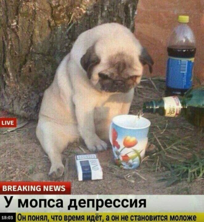 nySeoChangbin's tweet photo. Так как меня никто уже не читает я раскрою свою основну https://t.co/lTA1dM3ClQ