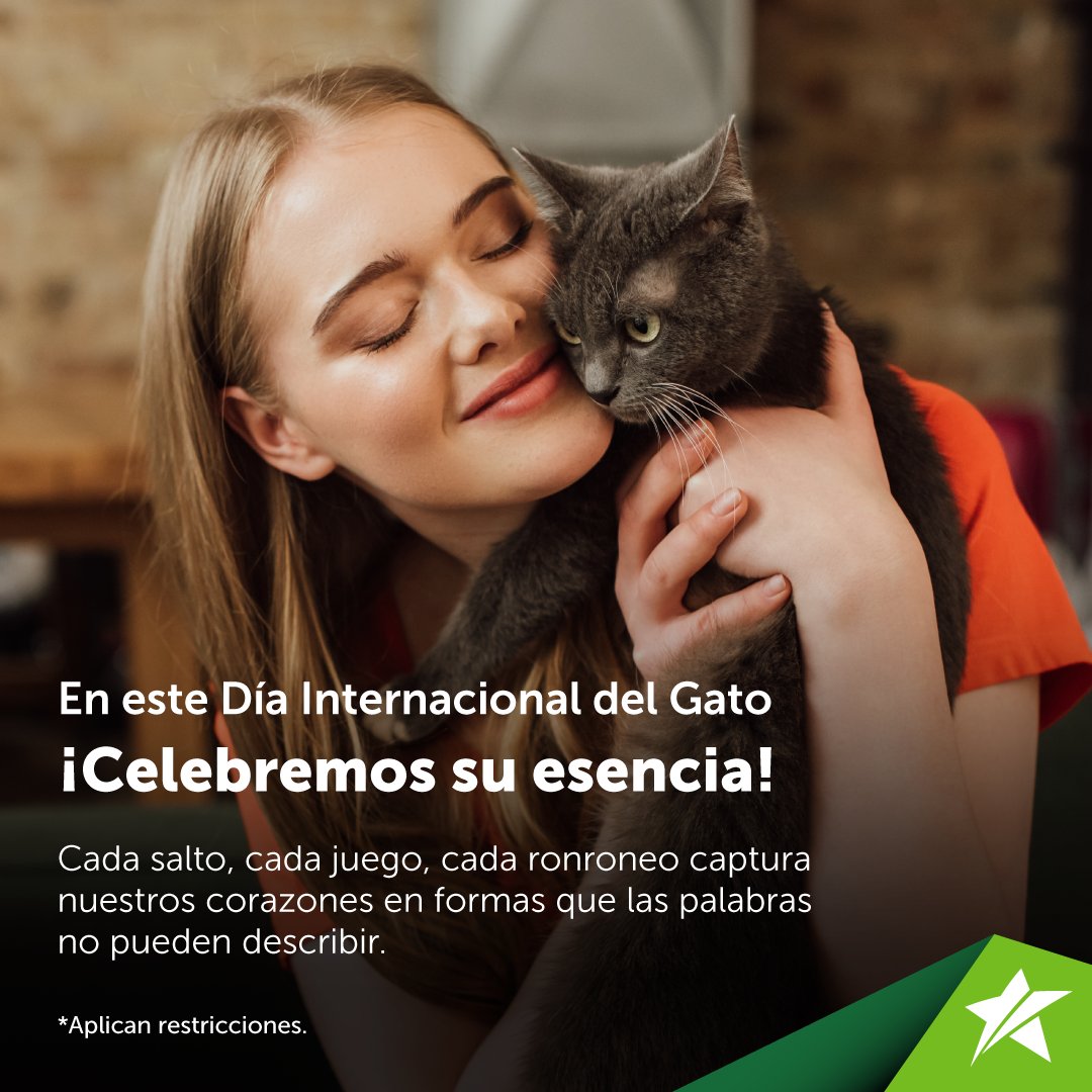 Te deseamos un Día del Gato lleno de ronroneos, caricias y amor. ¡Feliz día a todos nuestros amigos felinos! 🐈🐾