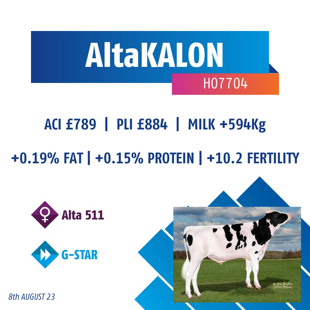 AltaGeneticsUK's tweet photo. 👀Proof News!
We have 3 sires in the top 10 for ACI 🔥
What's YOUR breeding criteria this Autumn?
#Altagenetics #proofday #futureherdinside #dairygenetics https://t.co/kZfMIoRw8y