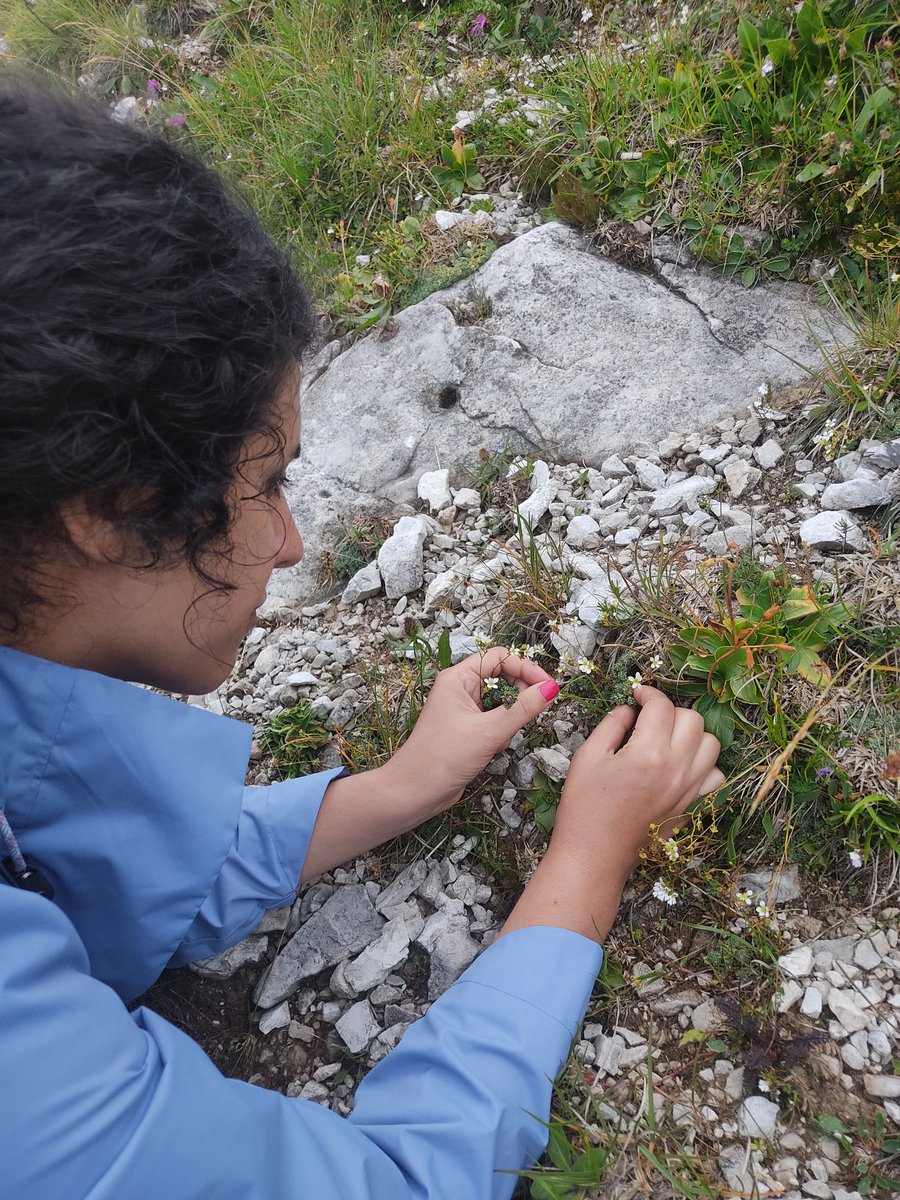 Plant EcoGenomics Lab - UniPD tweet media